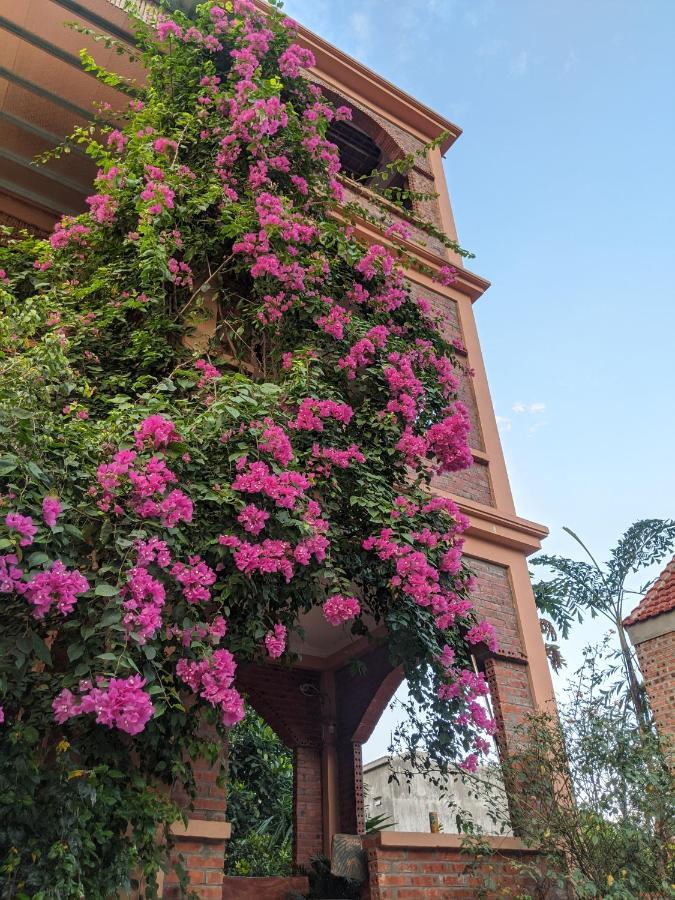 Ninh Binh Greenland Homestay Eksteriør billede